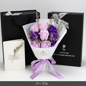 \[vt[ {bNXt 9 u[P tOX\[vt[ ԑ ͂Ȃ   Ό v[g Mtg j ̓ o^C a