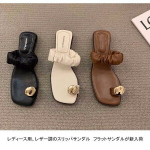 XbpT_ fB[X gOT_ V[O XNGAgD ~ _炩 ɂȂ ₷ r AEghA 