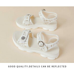 T_ fB[X Y ₷ X|[cT_ ؂  Xgbv ~[ X|[c RtH[g 