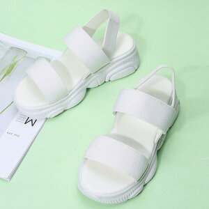 T_ fB[X ₷ T_ Xj[J[ r[`T_ y y ʋC r EH[LOV[Y ʋ