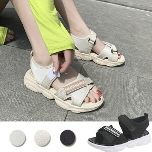 T_T_Xj[J[T_fB[X₷ȂX|[cT_T_CĐVV[YJWA