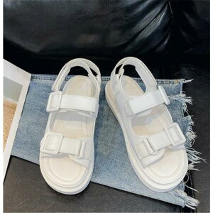 Z[ X|[cT_ fB[X T_  Xj[J[T_ Ȃ ʋC y ؍ JWA ₷ r t ʋΒʊw