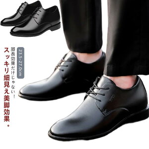 V[NbgV[Y rWlXV[Y Y 6cmAbv 8cm amC PUU[ v Cq[ V[NbgrWlXV[Y V[N