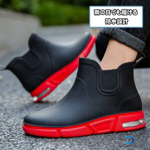 Cu[c CV[Y Y Xj[J[ h h C ~J J΍  RȂ NbV rWlX AEghA ނ  ʋ ʊw