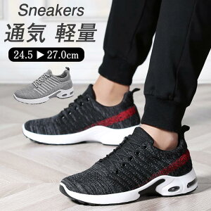 Xj[J[ Y ^C C jOV[Y [JbgXj[J[ 􂦂 EH[LOV[Y ʋC ʊwC WMO ₷