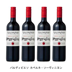 [4本まとめ買い] バルディビエソ カベルネ・ソーヴィニヨン 2020年 ビーニャ・バルディビエソ チリ 赤ワイン フルボディ チリワイン セントラル・ヴァレー チリ赤ワイン カベルネ ソーヴィニヨン 750ml