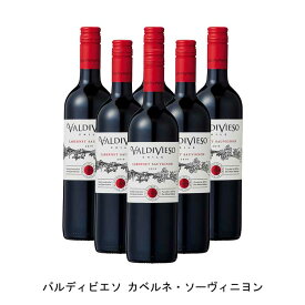 [6本まとめ買い] バルディビエソ カベルネ・ソーヴィニヨン 2020年 ビーニャ・バルディビエソ チリ 赤ワイン フルボディ チリワイン セントラル・ヴァレー チリ赤ワイン カベルネ ソーヴィニヨン 750ml