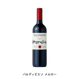 バルディビエソ メルロー 2021年 ビーニャ・バルディビエソ チリ 赤ワイン フルボディ チリワイン セントラル・ヴァレー チリ赤ワイン メルロー 750ml