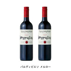 [2本まとめ買い] バルディビエソ メルロー 2021年 ビーニャ・バルディビエソ チリ 赤ワイン フルボディ チリワイン セントラル・ヴァレー チリ赤ワイン メルロー 750ml