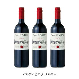 [3本まとめ買い] バルディビエソ メルロー 2021年 ビーニャ・バルディビエソ チリ 赤ワイン フルボディ チリワイン セントラル・ヴァレー チリ赤ワイン メルロー 750ml