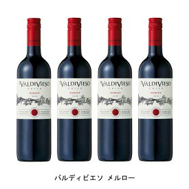 [4本まとめ買い] バルディビエソ メルロー 2021年 ビーニャ・バルディビエソ チリ 赤ワイン フルボディ チリワイン セントラル・ヴァレー チリ赤ワイン メルロー 750ml