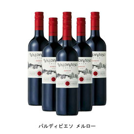 [6本まとめ買い] バルディビエソ メルロー 2021年 ビーニャ・バルディビエソ チリ 赤ワイン フルボディ チリワイン セントラル・ヴァレー チリ赤ワイン メルロー 750ml