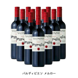 [12本まとめ買い] バルディビエソ メルロー 2021年 ビーニャ・バルディビエソ チリ 赤ワイン フルボディ チリワイン セントラル・ヴァレー チリ赤ワイン メルロー 750ml