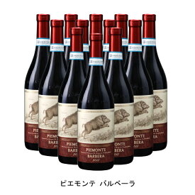 [12本まとめ買い] ピエモンテ バルベーラ 2018年 テッレ デル バローロ イタリア 赤ワイン ミディアムボディ イタリアワイン ピエモンテ イタリア赤ワイン バルベーラ 750ml