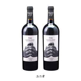 [2本まとめ買い] ユニオ 2021年 ポデーレ29 イタリア 赤ワイン フルボディ イタリアワイン プーリア イタリア赤ワイン ネーロ ディ トロイア 750ml