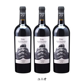 [3本まとめ買い] ユニオ 2021年 ポデーレ29 イタリア 赤ワイン フルボディ イタリアワイン プーリア イタリア赤ワイン ネーロ ディ トロイア 750ml