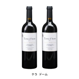 [2本まとめ買い] テラ ドーム 2013年 セラー アルデボル スペイン 赤ワイン フルボディ スペインワイン プリオラート スペイン赤ワイン カリニェナ 750ml