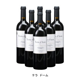 [6本まとめ買い] テラ ドーム 2013年 セラー アルデボル スペイン 赤ワイン フルボディ スペインワイン プリオラート スペイン赤ワイン カリニェナ 750ml