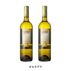 [2本まとめ買い] オルキデア 2020年 ボデガ イヌリエータ スペイン 白ワイン 辛口 スペインワイン ナバラ スペイン白ワイン ソーヴィニヨン ブラン 750ml