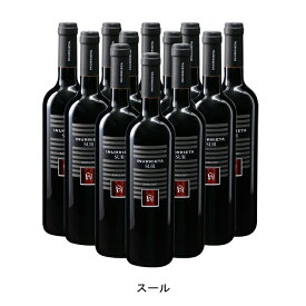 [12本まとめ買い] スール 2021年 ボデガ イヌリエータ スペイン 赤ワイン フルボディ スペインワイン ナバラ スペイン赤ワイン シラー 750ml