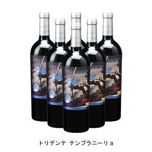 ワイン カスティーリャ レオン お酒の人気商品 通販 価格比較 価格 Com