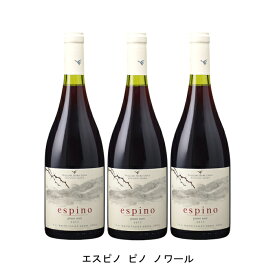 [3本まとめ買い] エスピノ ピノ ノワール 2022年 ビーニャ ウィリアム フェーヴル チリ チリ 赤ワイン フルボディ チリワイン マイポ ヴァレー チリ赤ワイン ピノ ノワール 750ml