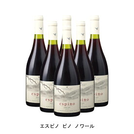 [6本まとめ買い] エスピノ ピノ ノワール 2022年 ビーニャ ウィリアム フェーヴル チリ チリ 赤ワイン フルボディ チリワイン マイポ ヴァレー チリ赤ワイン ピノ ノワール 750ml
