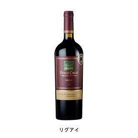 リグアイ 2019年 ペレス クルス チリ 赤ワイン フルボディ チリワイン マイポ ヴァレー チリ赤ワイン シラー 750ml
