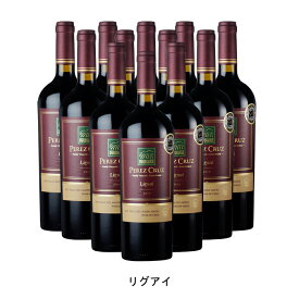 [12本まとめ買い] リグアイ 2019年 ペレス クルス チリ 赤ワイン フルボディ チリワイン マイポ ヴァレー チリ赤ワイン シラー 750ml