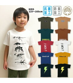 [最大550円OFFクーポン配布中 4/27 9:59まで] キッズ プリント Tシャツ 半袖 天竺 抗菌 防臭 ロゴ 子供服 夏 ボーイズ ガールズ 男の子 女の子 男児 女児 男子 女子 110 120 130 140 150 160 13010039B