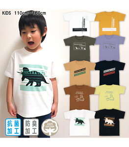 Tシャツ 恐竜 キッズトップス 子供の人気商品 通販 価格比較 価格 Com