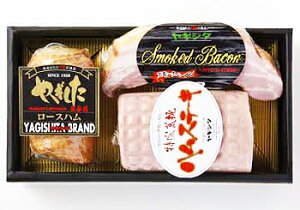 y[J[IzMV^nlߍ킹@YD301(ꗥF1100~)