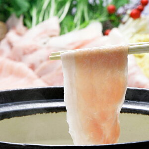 y{蒼Izωr|[NԂԃZbgyz