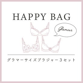 【グラマーサイズブラ福袋】ナルエー公式 ブラジャー レディース インナー 下着 大きいサイズ おまかせ かわいい