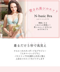 【Narue 公式】Bカップ Cカップ ブラジャー 大きいサイズ バストアップ 下着 レディース 女性 美乳 盛り 補正下着 補整下着 レース 刺繍 3/4カップ ブラ アンダーサイズ65～75 寄せ 3/4カップ 補正 補整 B～Iカップ ブルー パープル レッド メリー22-38520