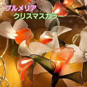 y󂠂zViPOdr3{t NX}XJ[ t[Cg Ԃ̃K[h t[v LED NX}XCg XCb`t NX}X t NX}Xc[ NX}XI