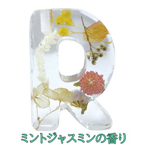 CjVfBt[U[ Diffuser CjV fBt[U[ fBt[U[X^h v[g v`Mtg    킢  t[ l炵  L a 