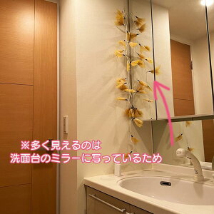 y󂠂zViPOdr3{t ؂̗tCg [tCg [t̏ t[Cg Ԃ̃K[h t[v LED XCb`t t NX}Xc[ NX}XI[i