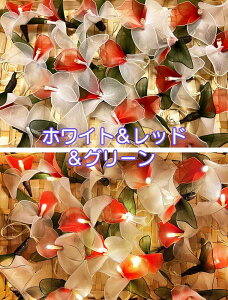 y󂠂zViPOdr3{t t[Cg Ԃ̃K[h t[v CeA Cg K[h ԐڏƖ Ɩ [v xbhTChv CeAG  fB