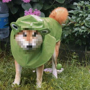 p CEFA JG |` ^ ^ Č R[M[ l Sgh }g  |GXe J UObY O[ CG[ u[ p[v