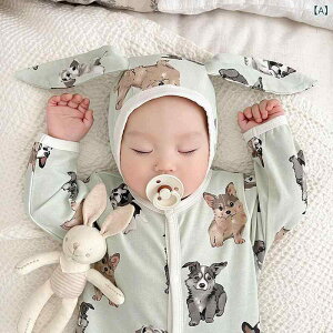 Xq xr[ V Ԃ c H~ k 킢  h Lbv ی  炩 ʋC