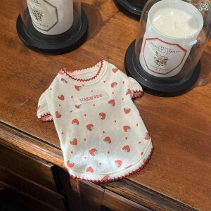 ybgEFA L  ^p 킢 Xgx[ ё΍ ptX[u gbvX R[t[X t rVt[[ }`[Y