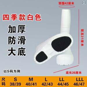 Cu[c jp jZbNX EVA ~ h {A ۉ O HiH ~[ t ϖ q ƌC