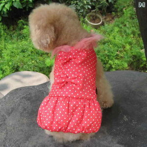 ybg ̎qp  L ^ efB |jA 2 s[X hX ԕ hbg XgCv    F sN F JWA |GXe H~ U ig