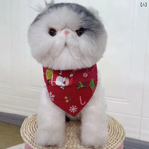 ybg NX}X ߑ L  ^ }g |` P[v 悾ꂩ X^C o_i lbNEH[}[ |GXe bh O[ T^ Ⴞ p[eB[ Cxg H~ 