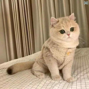 ybgEFA  Lp 킢 {AxXg ۉ  h  H~ gCv[h ^ ^ U o i `bL x[W uE