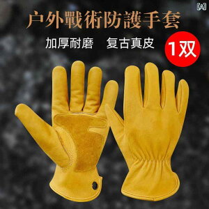  Y v O[u AEghA Lv oCN CfBO ^NeBJ ی ϖ ϐؑn fM g U[ Ɨp