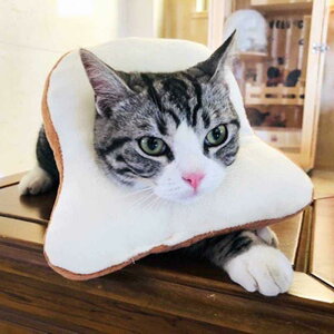 GUxXJ[ L p \ g[Xg^ HpfUC ʂݑf 킢 \tg^Cv y NbV K rߖh~ ݂h~ pPA ی  XgXy