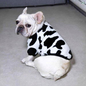 hbOEFA H~ t`uhbO pW}  [EFA  t[X Ȑ ۉ h ۂ茢p  p_ gCv[h R[M[ pO CObVuh