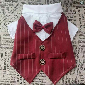 ybg  L hbOEFA efB t`uhbO R[M[ X[c t XgCv tH[} JWA |GXe o Up 